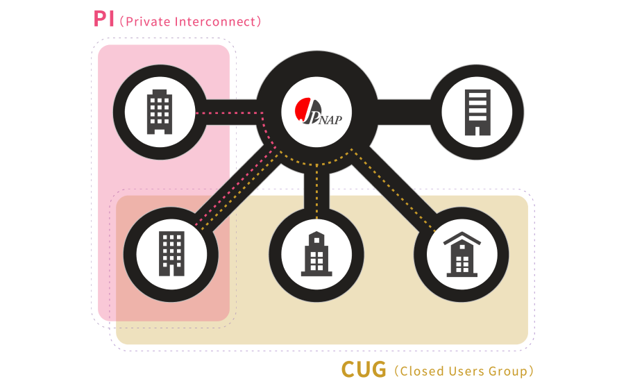 PI/CUG Services